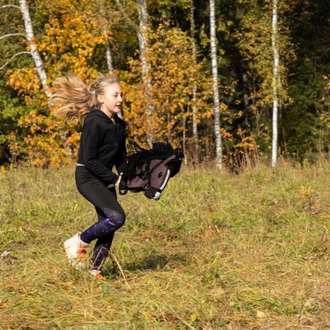 Hobby Horse Skippi gniady - koń na patyku - kiju - dla dziecka - A3 kantar Skippi Hobby Horse Skippi gniady - koń na patyku - kiju - dla dziecka - A3 kantar Skippi