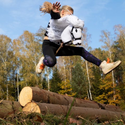Hobby horse zabawka dla dziewczynki konik kiju A3 Skippi Hobby horse zabawka dla dziewczynki konik kiju A3 Skippi