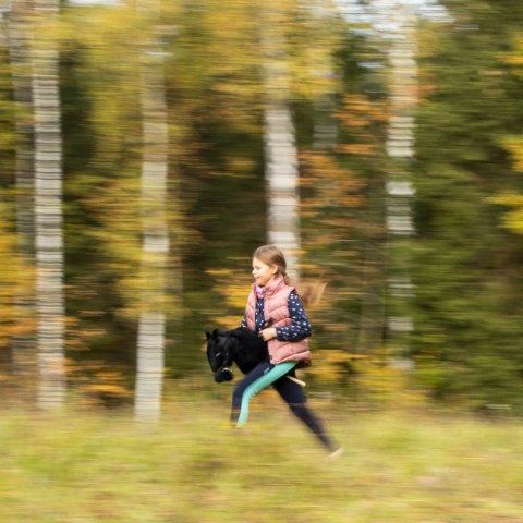 Hobby horse zabawka dla dziewczynki konik kiju A3 Skippi Hobby horse zabawka dla dziewczynki konik kiju A3 Skippi