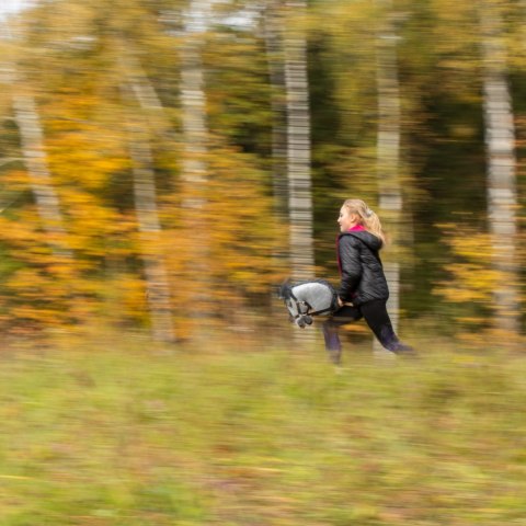Hobby horse zabawka dla dziewczynki konik kiju A3 Skippi Hobby horse zabawka dla dziewczynki konik kiju A3 Skippi