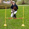 Hobby Horse Skippi Biszkopt A3 - kantar i wodze w zestawie - prezent Skippi
