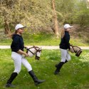 Hobby Horse Skippi Biszkopt A3 - kantar i wodze w zestawie - prezent Skippi