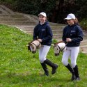 Hobby Horse Skippi Biszkopt A3 - kantar i wodze w zestawie - prezent Skippi