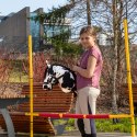 Przeszkoda do skakania Skippi - lekka -przenośnia - bezpieczna - Hobby Horse Skippi