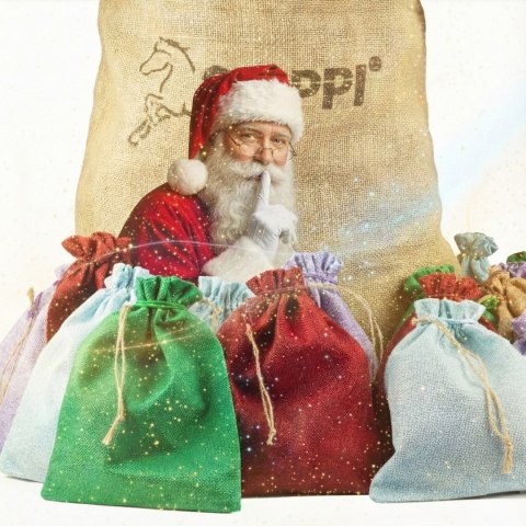 Zestaw Świąteczny Hobby Horse - The Best of Skippi - z czarnym koniem Skippi